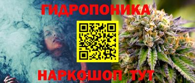 сатива Владикавказ